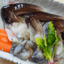 여수 새조개 2.5Kg (실중량 500g) 샤브샤브 손질 새조개